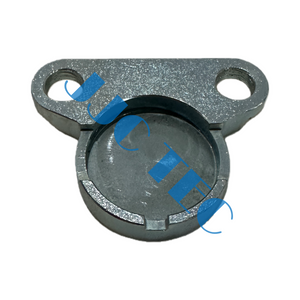 PROTECTOR PIUG/MUD PARA VÁLVULA DE CIERRE BX-1V, número de referencia OEM: 50003967, utilizado para ELEVADOR