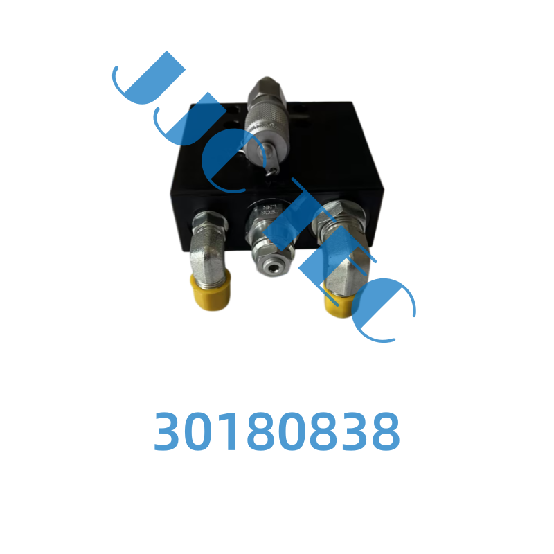 30180838 (3)